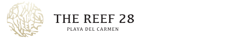 The Reef 28 Resort – Playa Del Carmen – Reef 28 Adults Only Resort